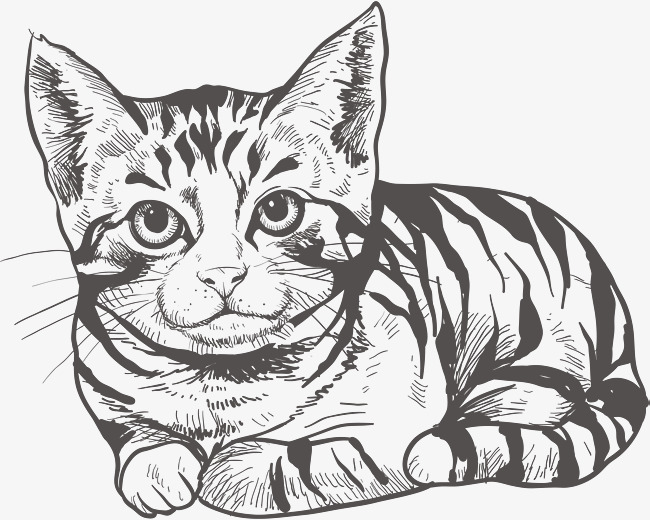 650x520 Cute Cat, Cat Vector, Cat Clipart, Vector Png Png And Vector For