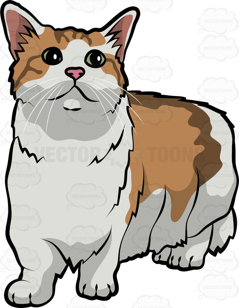 795x1024 A Munchkin Cat Clipart By Vector Toons