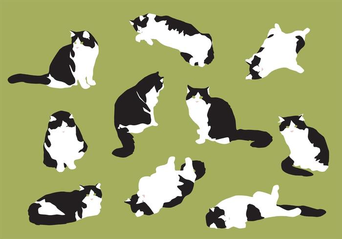 700x490 Hand Drawn Fat Cat Vectors