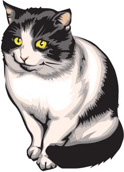 252x350 Cat Vector 4 An Images Hub