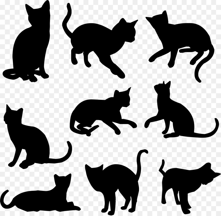 900x880 Black Cat Kitten Felidae Silhouette
