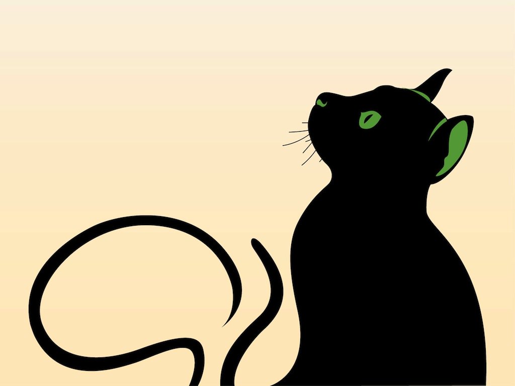 1024x768 Cat Graphics Vector Art Amp Graphics