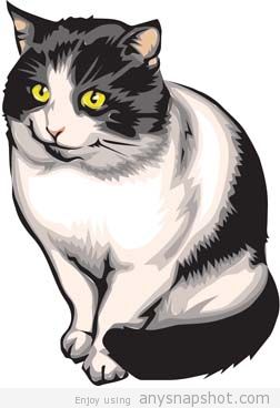 252x368 Free Cat Vector 15
