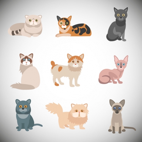 468x468 Various Cats Vector Illustrations With Color Style Vectors Stock