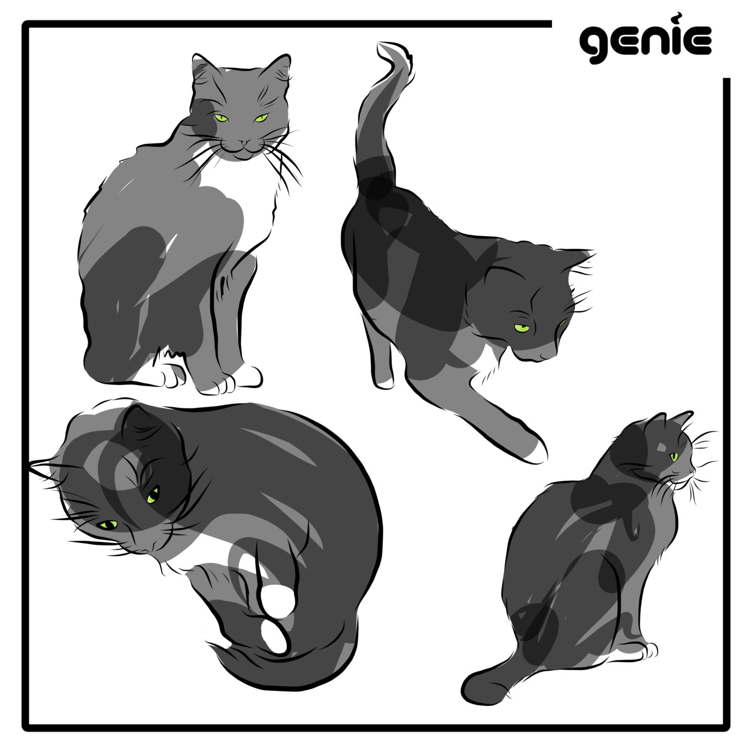 1500x1500 Drawn Black Cat Vector