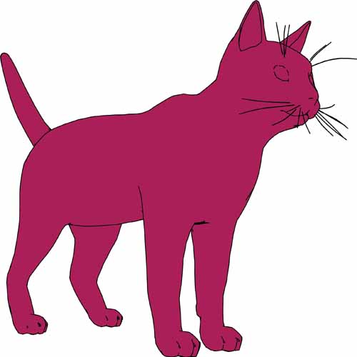 500x500 Fantastic Realistic Cat Vector Myvect
