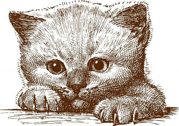 600x421 Line Art Animal Cat Vector Free Vector In Encapsulated Postscript