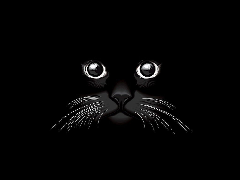 1024x768 Black Cat Vector Vector Art Amp Graphics