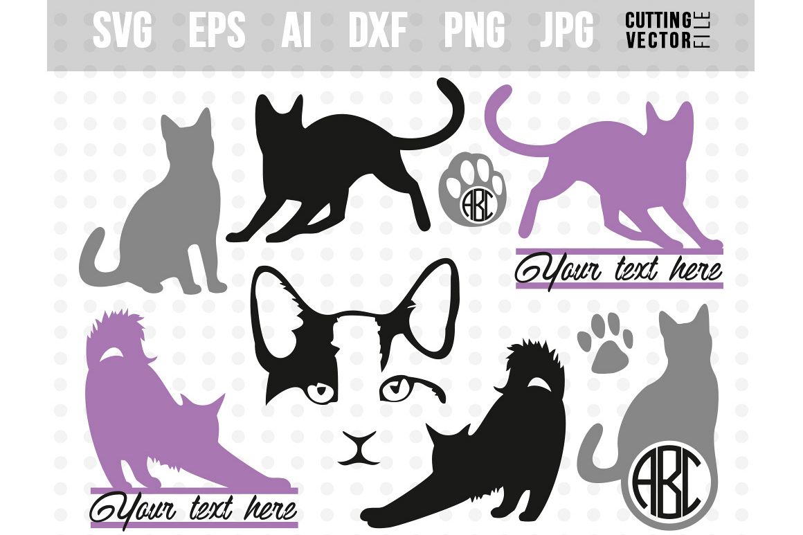 1160x773 Cat Vector Bundle