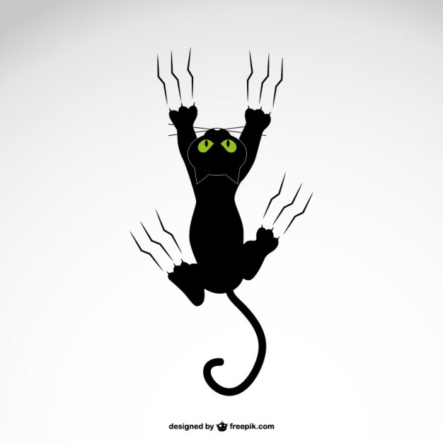 626x626 Cat Vectors, Photos And Psd Files Free Download
