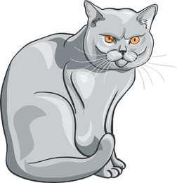 252x260 Cats Vector Graphics To Download