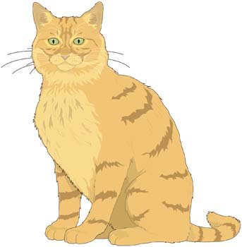 343x350 Free Cat Vector 9 Clipart And Vector Graphics