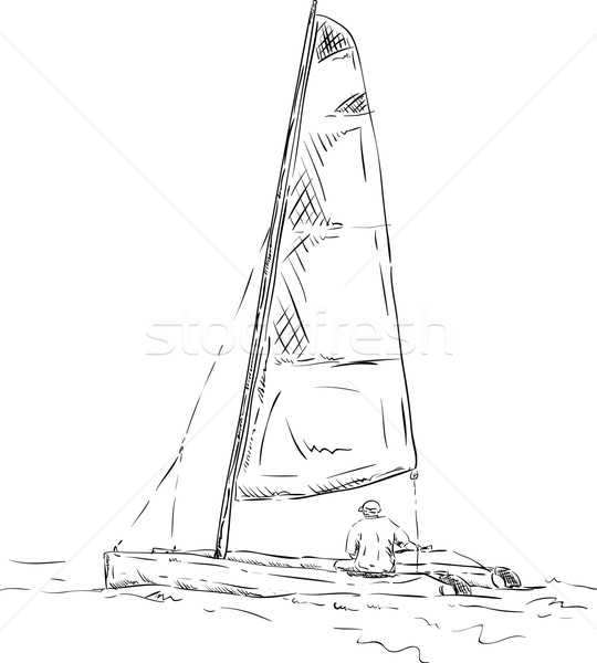 540x600 Catamaran Vector Illustration Pavel Bortel (Pavelmidi) ( 3637044