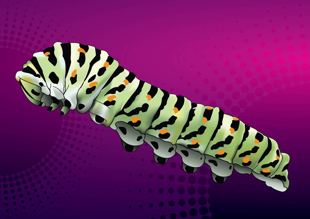 1024x726 Caterpillar Vector Vector Art Amp Graphics