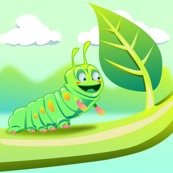 600x600 Caterpillar Vector
