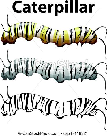371x470 Doodle Character For Caterpillar Illustration.