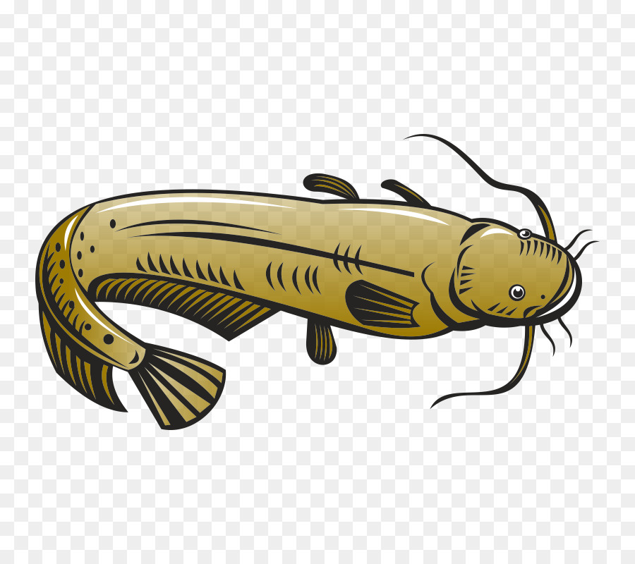 900x800 Clip Art Catfish Vector Graphics Illustration Image