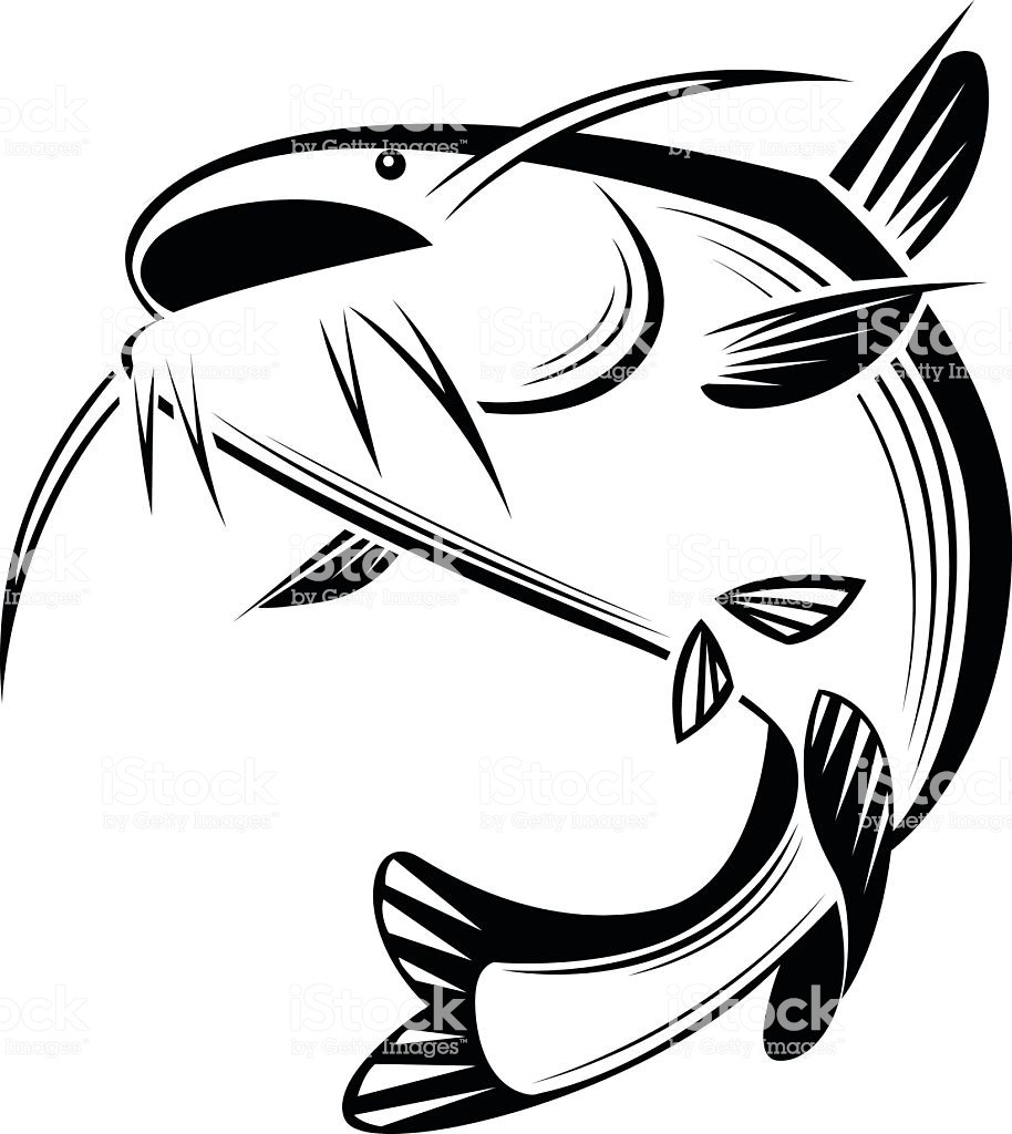 914x1024 Graphic Catfish Vector Vector Id616127862 Within Clipart Of
