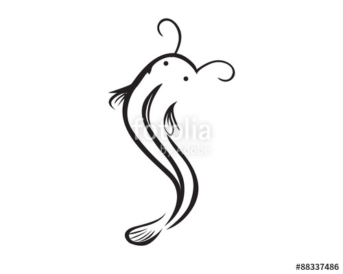 500x400 Catfish Stock Image And Royalty Free Vector Files On