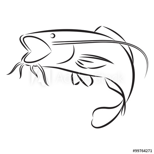 500x500 Graphic Catfish, Vector