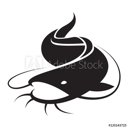 500x500 Graphic Catfish,vector