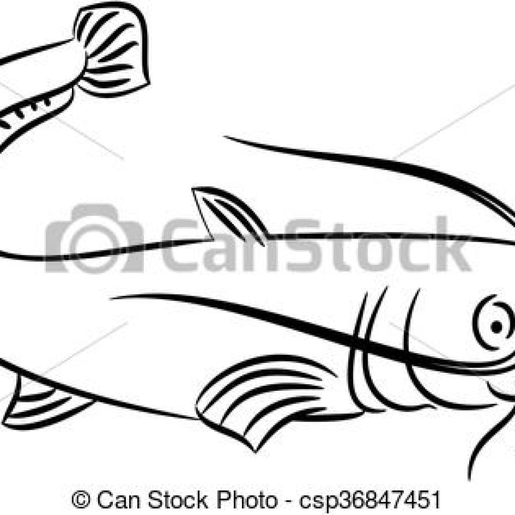 1024x1024 Catfish Clipart Illustration Of A Vector Free Snowman