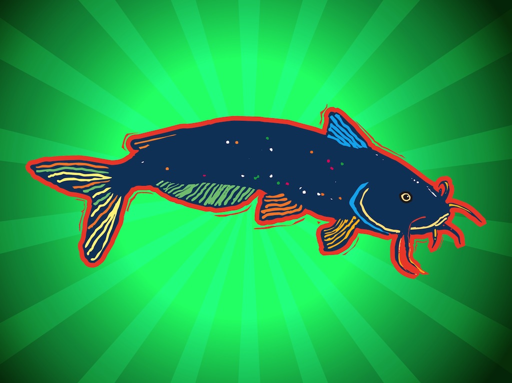 1024x767 Catfish Illustration Vector Art Amp Graphics