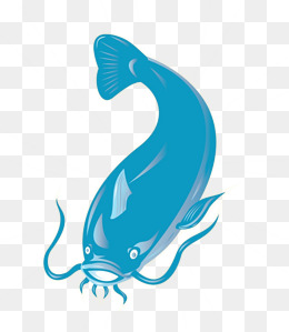260x299 Catfish Png Images Vectors And Psd Files Free Download On Pngtree