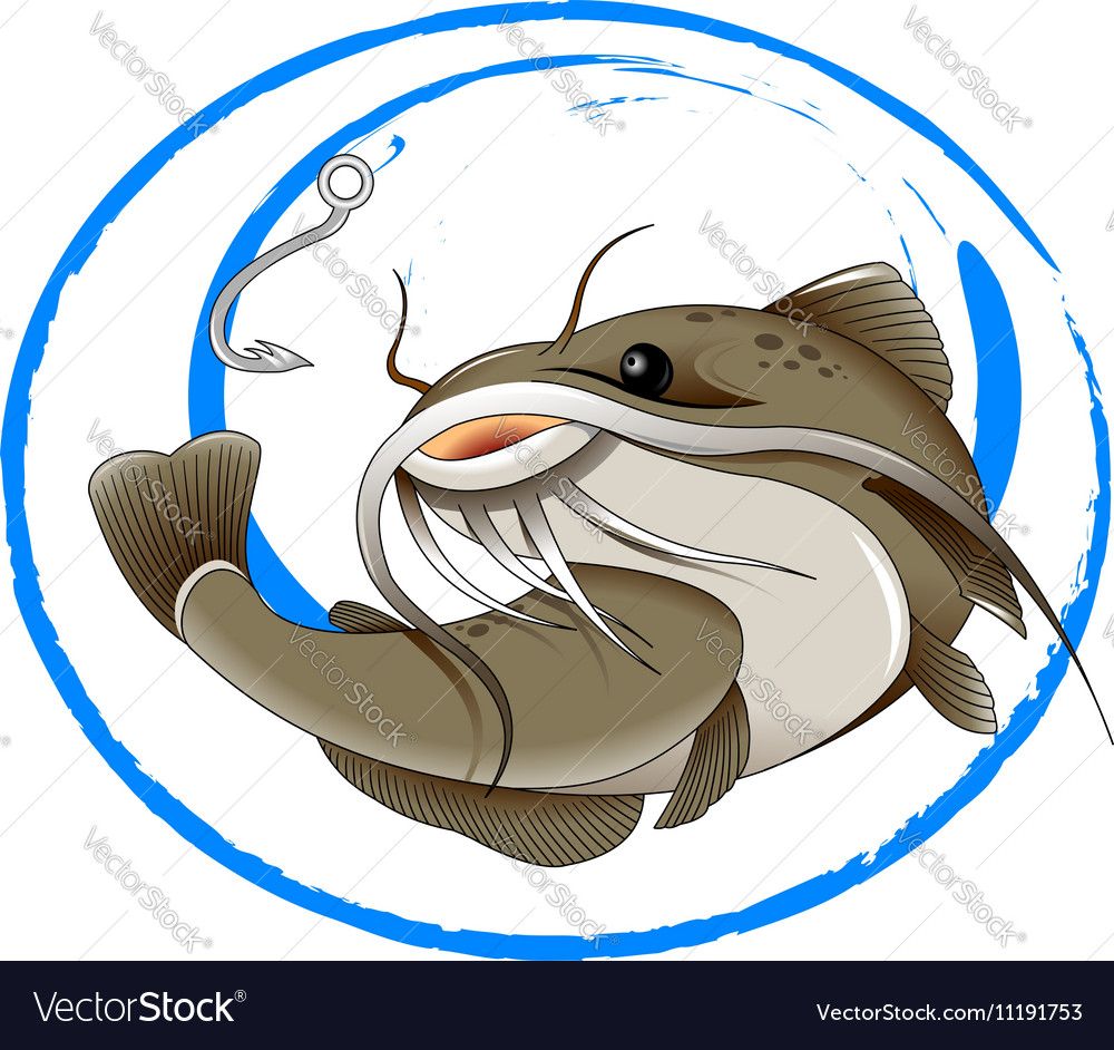 1000x942 Fishing For Catfish Vector Image By Sababa66 Vector