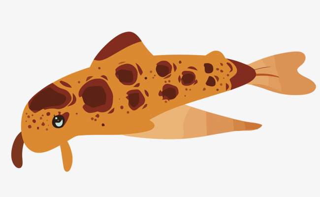 650x400 Vector Catfish, Yellow, Catfish, Fish Png And Vector For Free Download