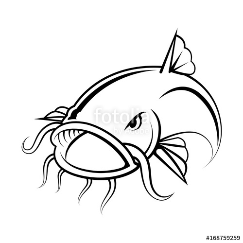 500x500 Graphic Catfish On White Background, Vector Stock Image And