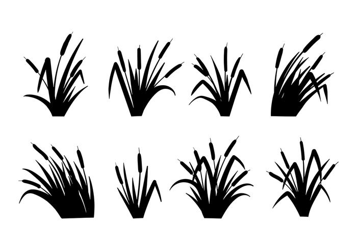 700x490 Cattails Vector Black And White