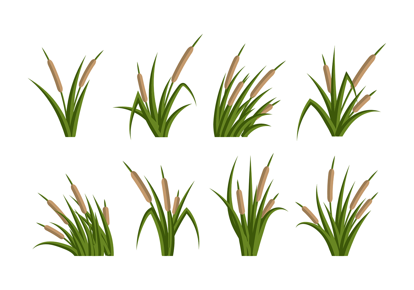 1400x980 Cattails Vector Flat
