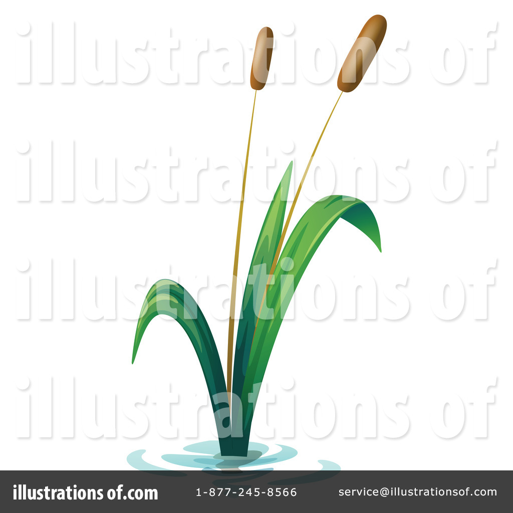 1024x1024 Cattails Vector Flat Clipart