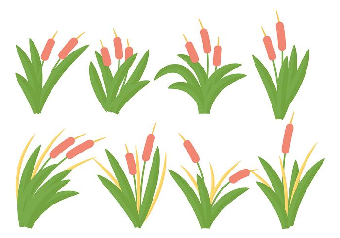 700x490 Free Cattails Icon Vector Stock Images