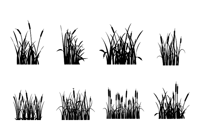 700x490 Free Cattails Silhouette Vectors