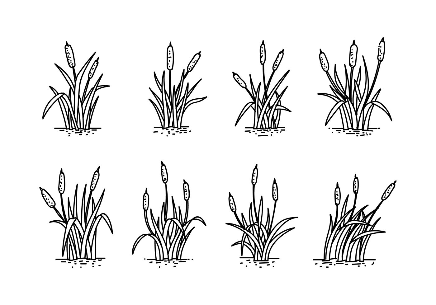 1400x980 Set Of Hand Drawing Cattails Vector A Doodle Hand
