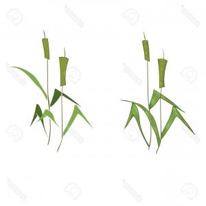 300x300 View Lake Water Lilies Cattails Vector Arenawp