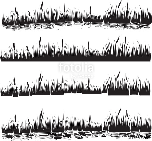 500x464 Water Plants Set Of Reed Or Cattails. Silhouette Vector. Stock