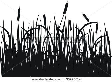 450x328 Cattail Clipart Black And White