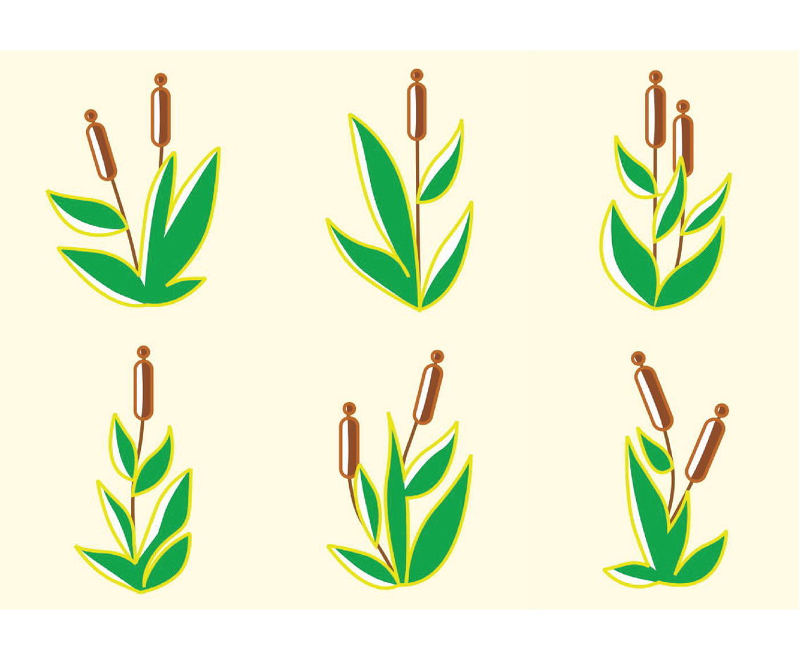 1136x936 Cattails Vector