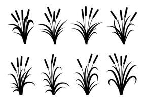 286x200 Cattails Vector