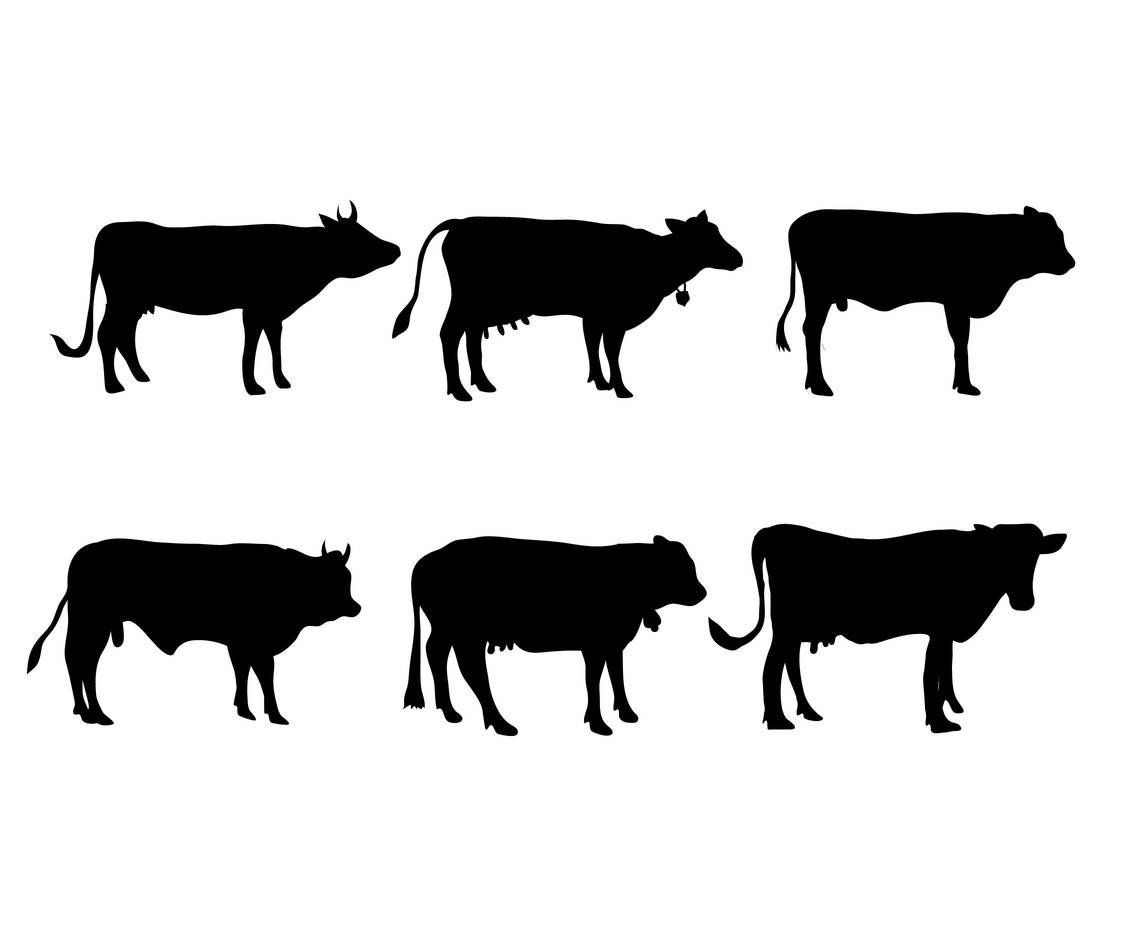 1136x936 Cattle Vector Set Vector Art Amp Graphics