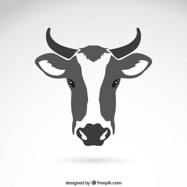 626x626 Cattle Vectors, Photos And Psd Files Free Download