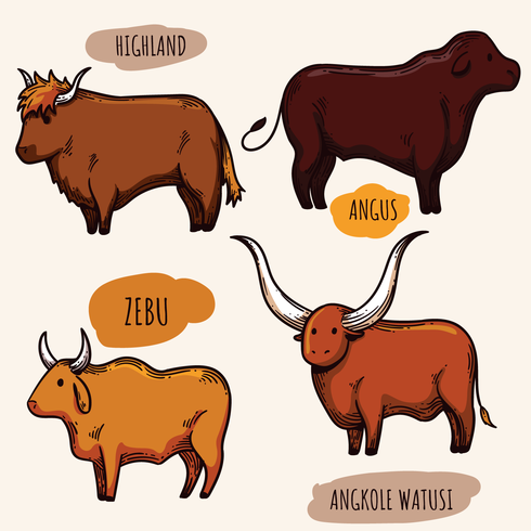 490x490 Cattle Vectors