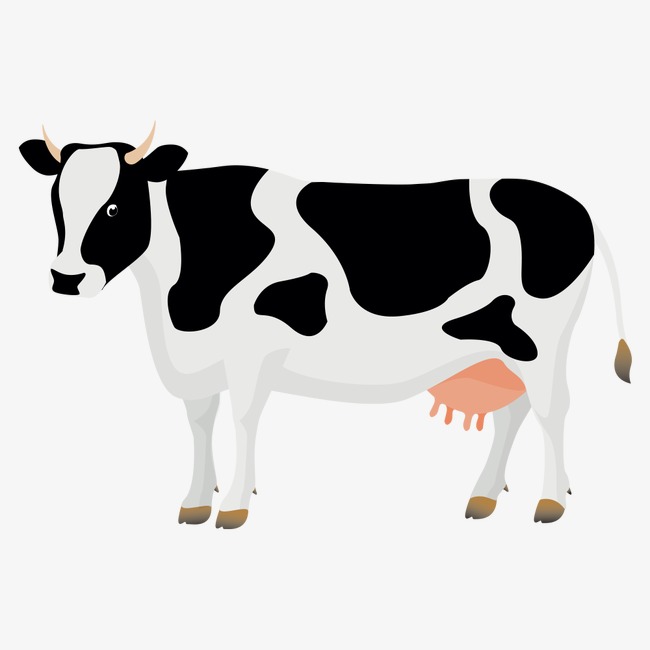 650x650 Cow Png, Vectors, Psd, And Clipart For Free Download Pngtree