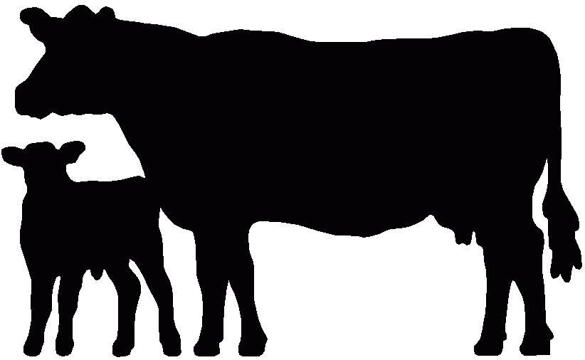 822x506 15 Cattle Vector Beef Cow For Free Download On Mbtskoudsalg