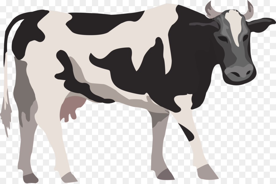 900x600 Download Cattle Livestock Farm Illustration Cow Vector