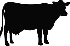 275x182 15 Cattle Vector Silhouette For Free Download On Mbtskoudsalg