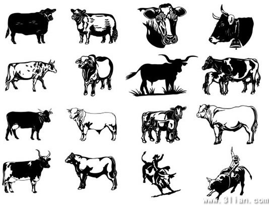 534x408 Black And White Cow Vector Free Vector In Adobe Illustrator Ai